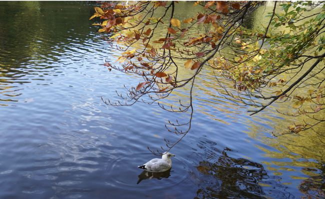 High incidence of chronic diseases in Autumn! pay attention to these 3 diseases - Medasia.Store