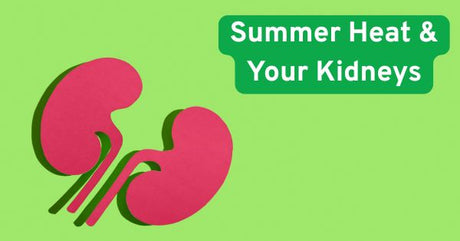 Summer Heat and Your Kidneys: Simple Ways to Stay Healthy When Temperatures Rise