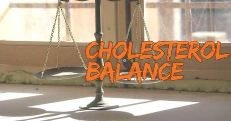 June Food Picks for Better Cholesterol Balance