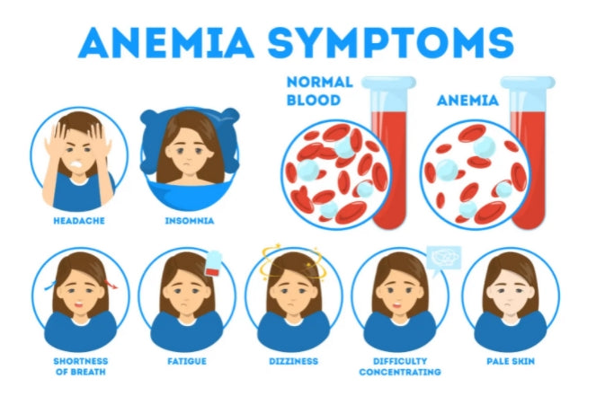 What happens when chronic anemia is not treated? - Medasia.Store