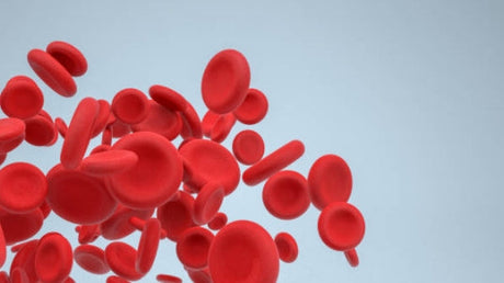 Can Anemia kill you？ - Medasia.Store