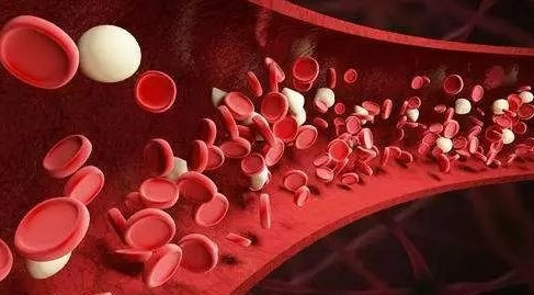 6 symptoms, indicating that you have suffered from "anemia"! - Medasia.Store