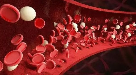 6 symptoms, indicating that you have suffered from "anemia"! - Medasia.Store