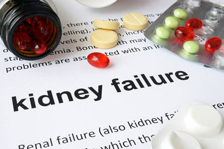 What is treatment of kidney failure?