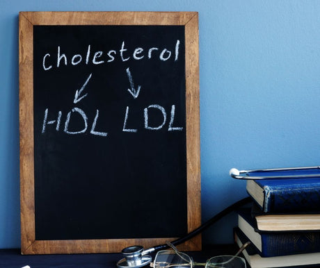 What is Cholesterol Test HDL?