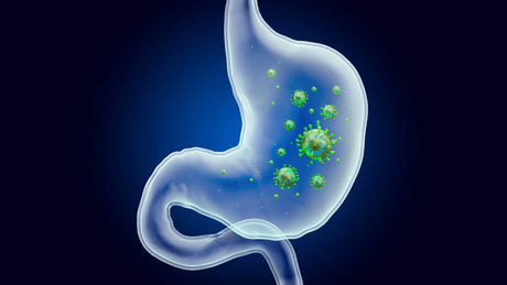 Simple Steps to Prevent and Manage H. pylori Infections