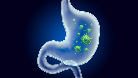 Simple Steps to Prevent and Manage H. pylori Infections