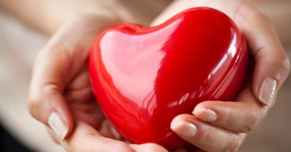 John’s Wake-Up Call: Why Blood Lipids Matter