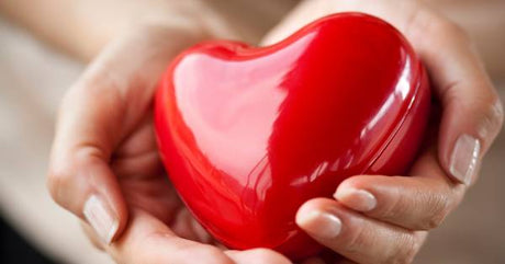 John’s Wake-Up Call: Why Blood Lipids Matter