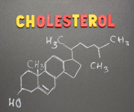 What Is Cholesterol?