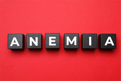 Are You at Risk of Anemia? Explore Causes, Symptoms, and Latest Treatments!