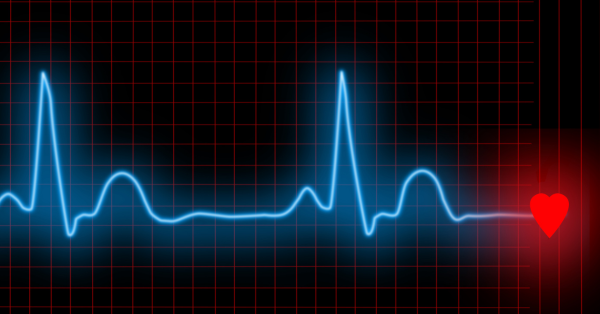 Keep Your Heart in Check with Ease