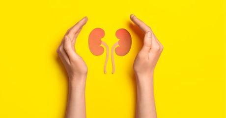 Are You Taking Care of Your Kidneys today?