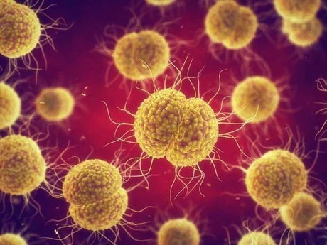 Can i live a normal life with gonorrhea?