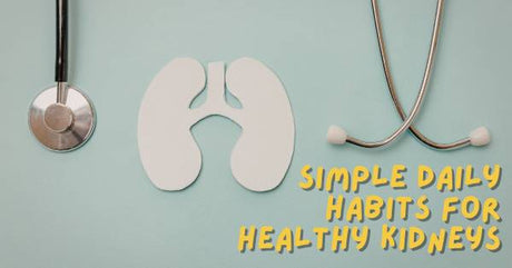 Kidney Health: Everyday Habits to Avoid for Better Wellness