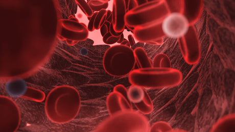 How to increase blood oxygen level?