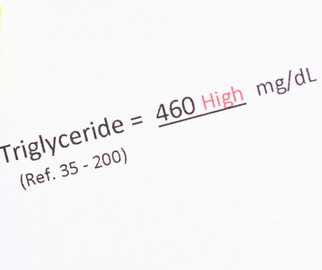 Learn More About Triglycerides