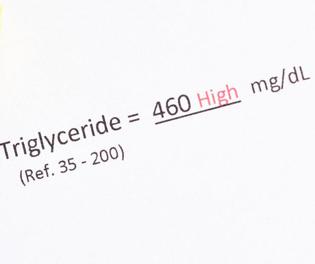 Learn More About Triglycerides