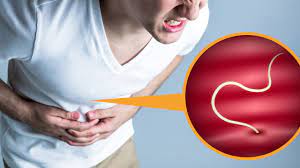 Can H. pylori Infection Relapse?