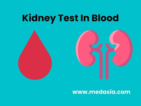 Kidney Test In Blood