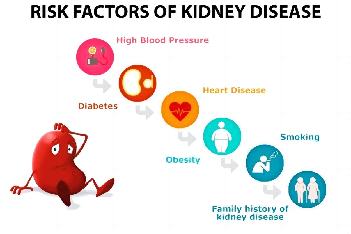 What caused my kidney disease?