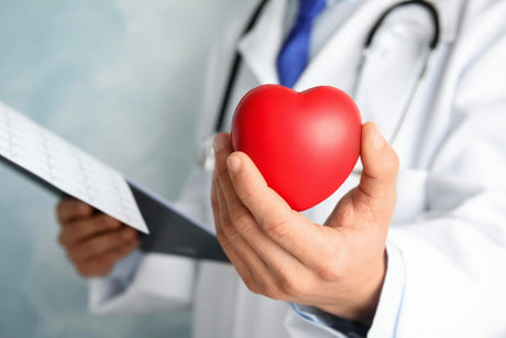 A Guide to Improving Blood Lipids and Enhancing Heart Health