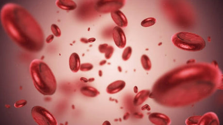 What exactly is thalassemia? - Medasia.Store