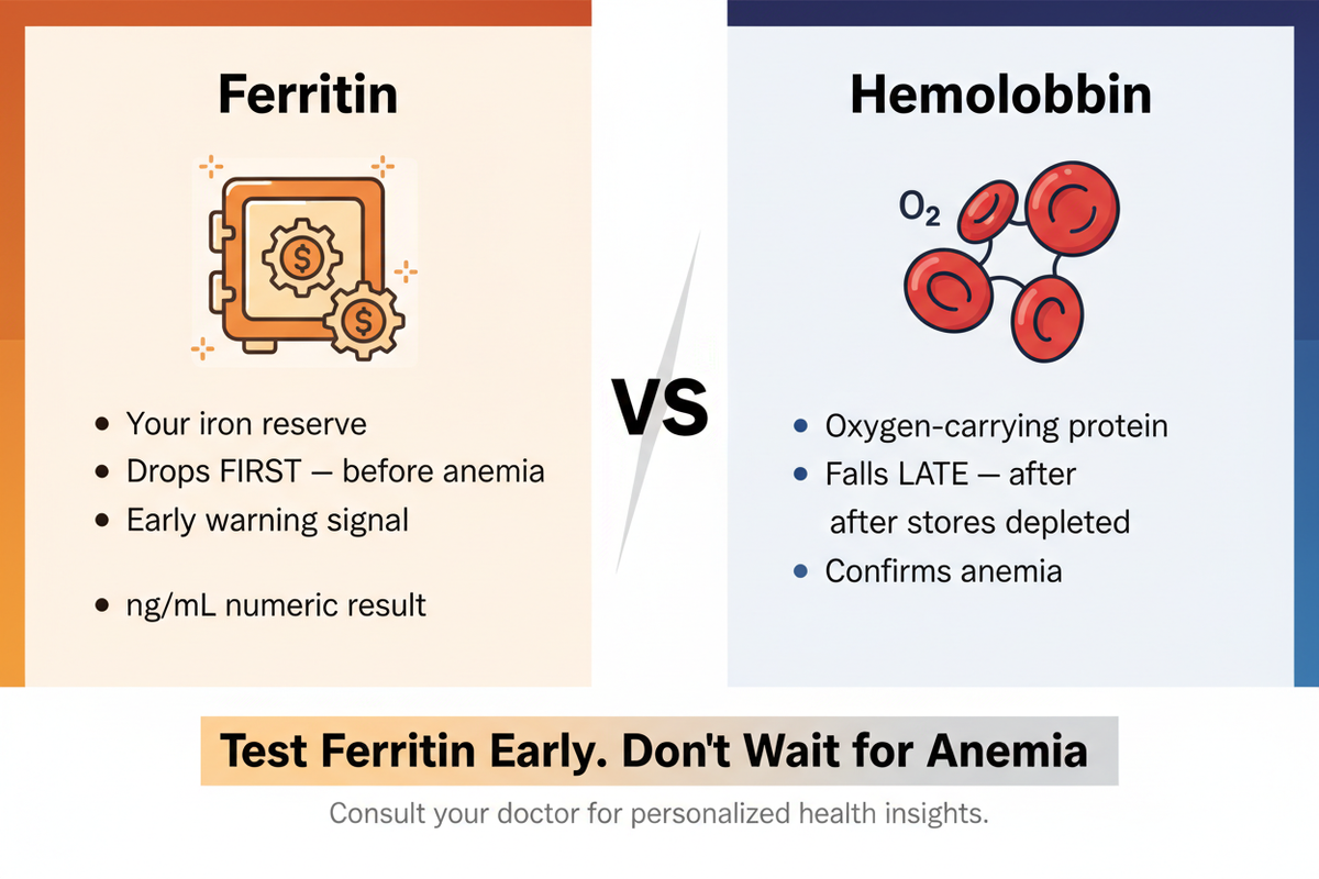 Ferritin vs Hemoglobin – Why Checking Iron Stores Matters Infographic
