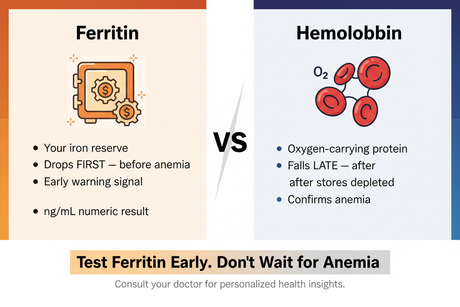Ferritin vs Hemoglobin – Why Checking Iron Stores Matters Infographic