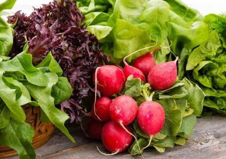 How do you treat low hemoglobin? - Medasia.Store