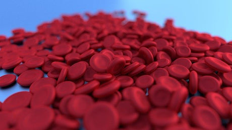 What's Anemia?How does anemia affect us? - Medasia.Store