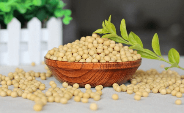 Management of Anemia with diet - Medasia.Store