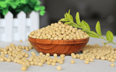 Management of Anemia with diet - Medasia.Store