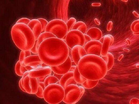 How to treat your kidney disease and anemia?