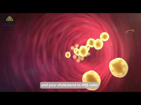 Mission 5-in-1 Cholesterol Meter – FDA Cleared & CE Certified At-Home TC, HDL, LDL & Triglyceride Test Kit